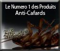 Dire adieux aux insectes nuisibles rapidement ? c'est beaucoup trop facile pour EFFICAC'+® l'anti-cafards malin. il assure egalement une excellente protection apres le traitement contre les blattes cafards ravets ainsi que leurs oeufs. 